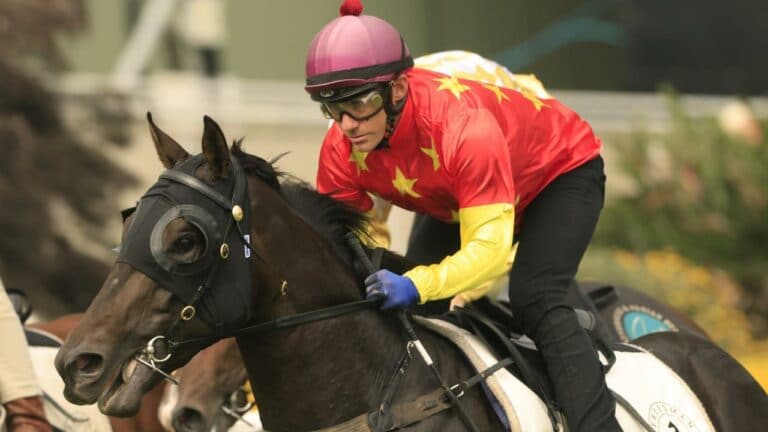 Slow Horse Luke Review 2022 – A Profitable Online Lay Horse Betting Platform?0 (0)