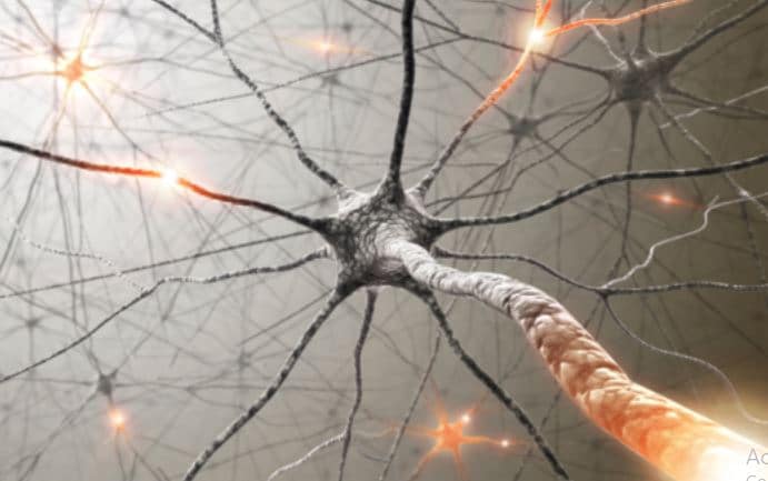 Neuro Balance Therapy Review:  Does It Helps Patients Reactivate Their Peroneal Nerve?0 (0)