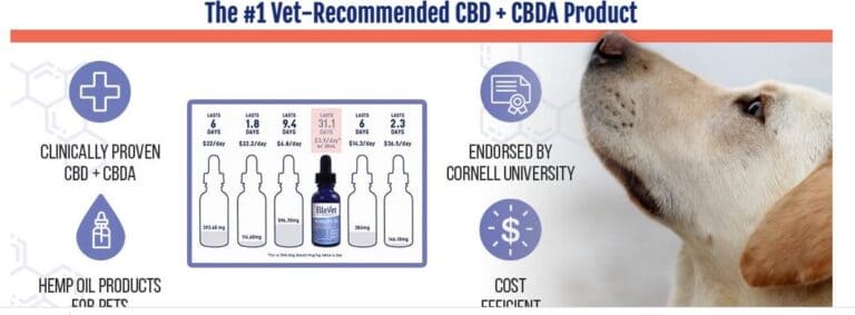 ElleVet Sciences Review 2022- Everything You Should Know0 (0)