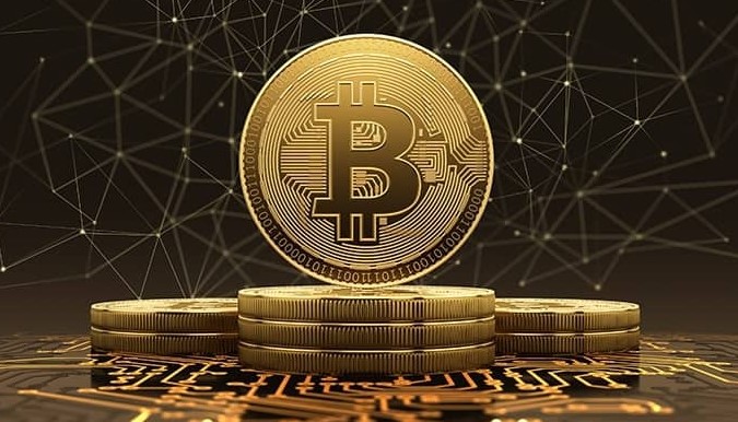 Libra Profit